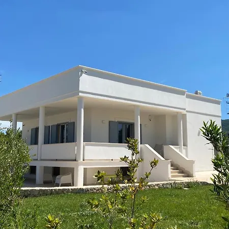 In Puglia With Sea View And Olive Trees