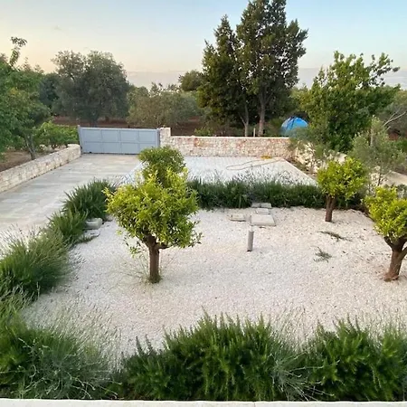 In Puglia With Sea View And Olive Trees *